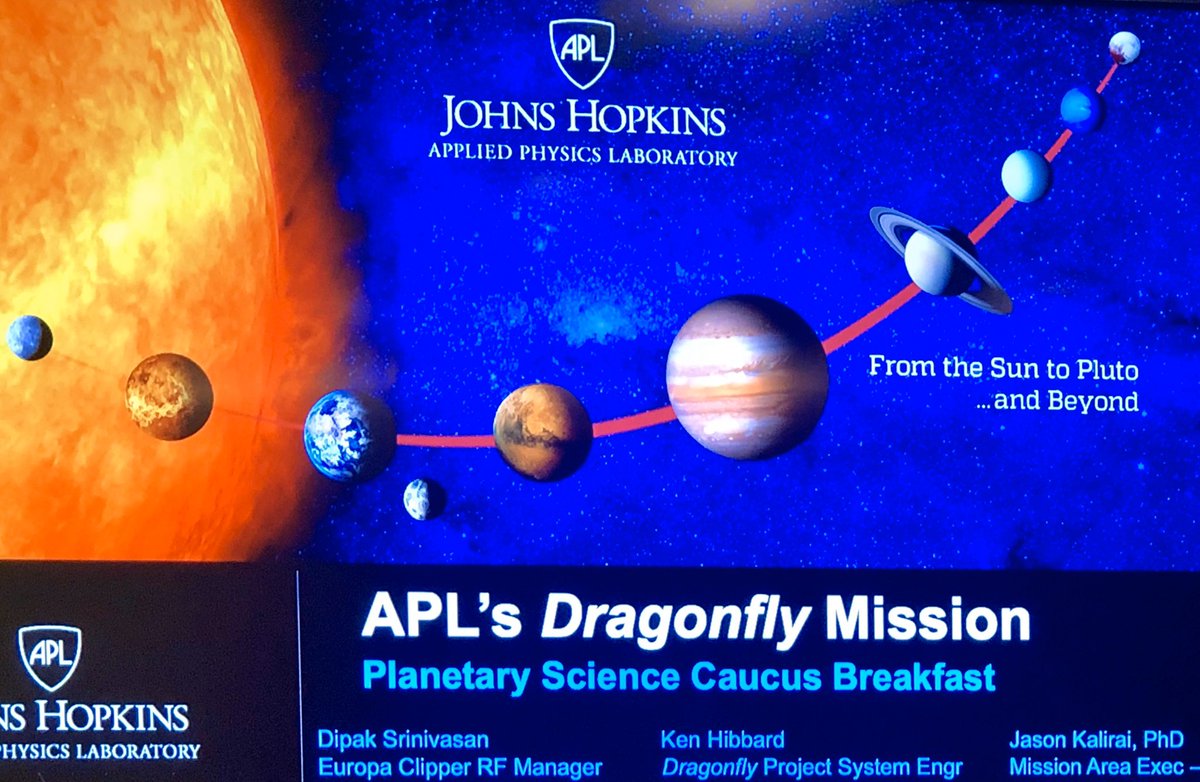 Dr. Alexandra Laing tweet media