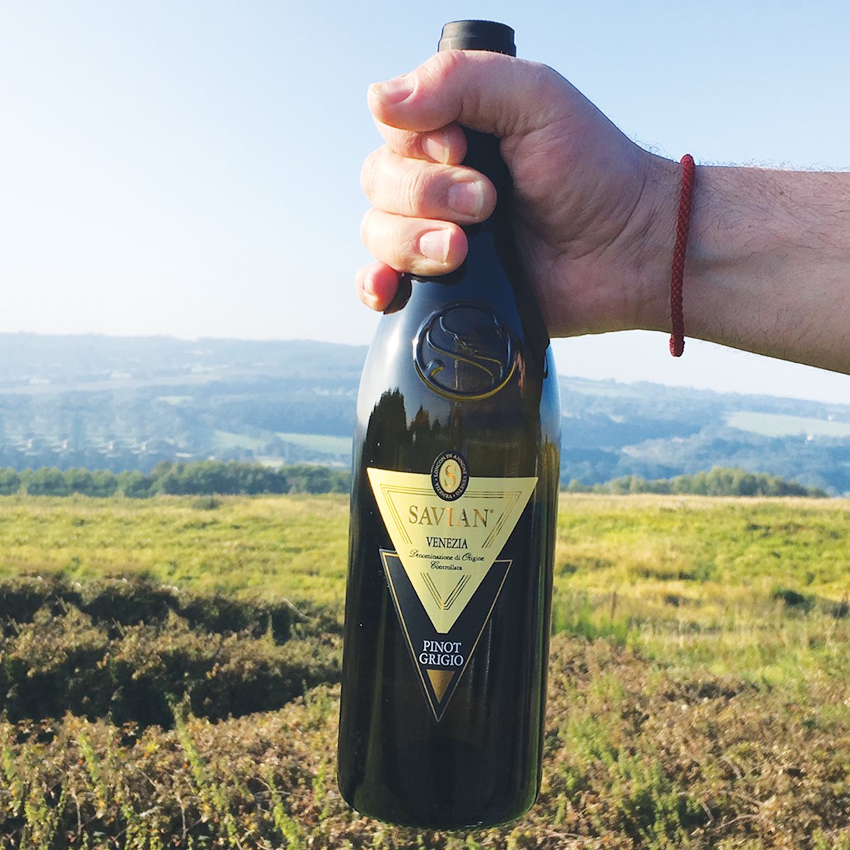 travellingwine_'s tweet photo. Just arrived Our Amazing #Pinotgrigio & #malbech 🍷😋😁
#travellingwinemerchant #organicwine #vegan #BuyWineOnline #FamilyNotFactory #adventuresinwine #winelovers #thursday #thirstythursday #Ground2Grape2Glass https://t.co/uDKaQlbhWZ