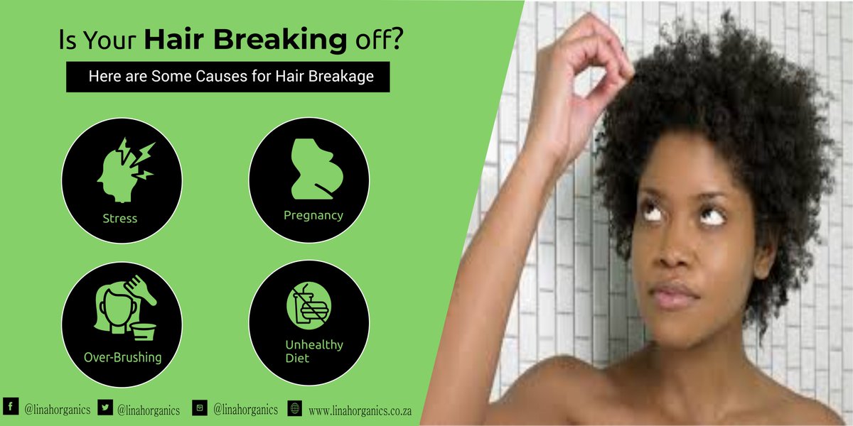 linahhaircare's tweet photo. Is Your Hair Breaking Off?
Here are some causes for HAIR BREAKAGE.
#hairtips #linahorganics #SheTalkZa #naturalhairgang #DJSBU @TownshipBiz @TownshipBrands @eKasiLabs @ekasiEntreprene @MakingMovesSabc #MassivMetro #TouchHD #ThursdayThoughts #AskAMan https://t.co/UK56fXqdJ9