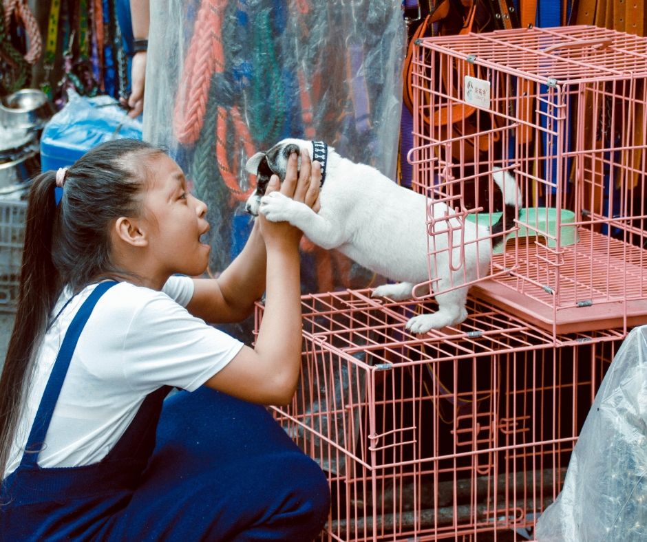 Value Vet tweet media