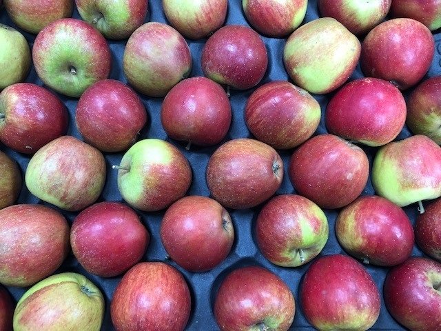 ArnoldsProduce's tweet photo. Scrumptious #Suffolk #Apples in stock, #Cox's and #Russets https://t.co/khS80pUu8d