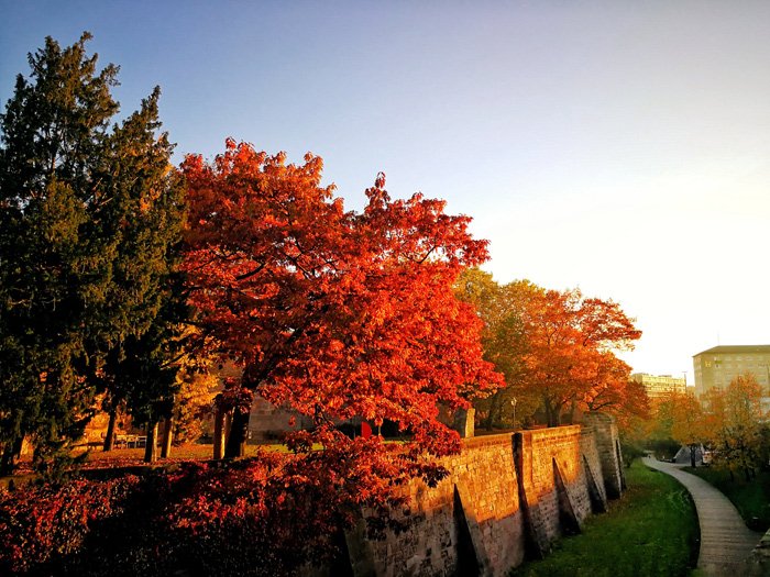 Nuernberg_Info's tweet photo. Der #Herbst wurde diese Woche eingeläutet🍂☁️ Doch wohin am #Wochenende, wenn das Wetter nicht mitspielt? Die Museen bieten ein tolles Programm für jeden Geschmack😊
@museen_nbg #herbstanfang #neuesentdecken #fürgroßundklein
https://t.co/MMdhH45fKz
©CTZ https://t.co/zL5AA7VUvp