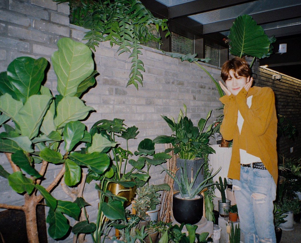 NCTsmtown_127's tweet photo. 🌱💚🌱

https://t.co/pNjjXjDA4B

#NCT #NCT127
#JAEHYUN #일상의재현 https://t.co/skogaWHrSW