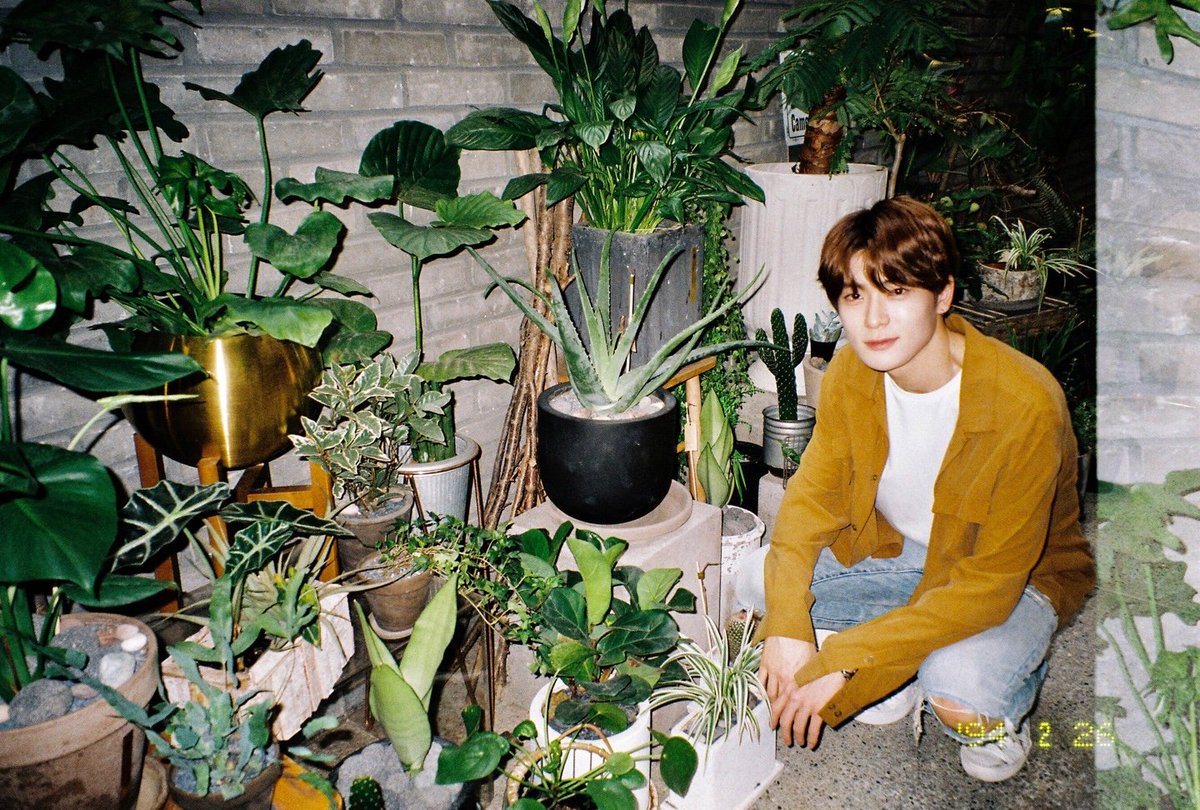 NCTsmtown_127's tweet photo. 🌱💚🌱

https://t.co/pNjjXjDA4B

#NCT #NCT127
#JAEHYUN #일상의재현 https://t.co/skogaWHrSW