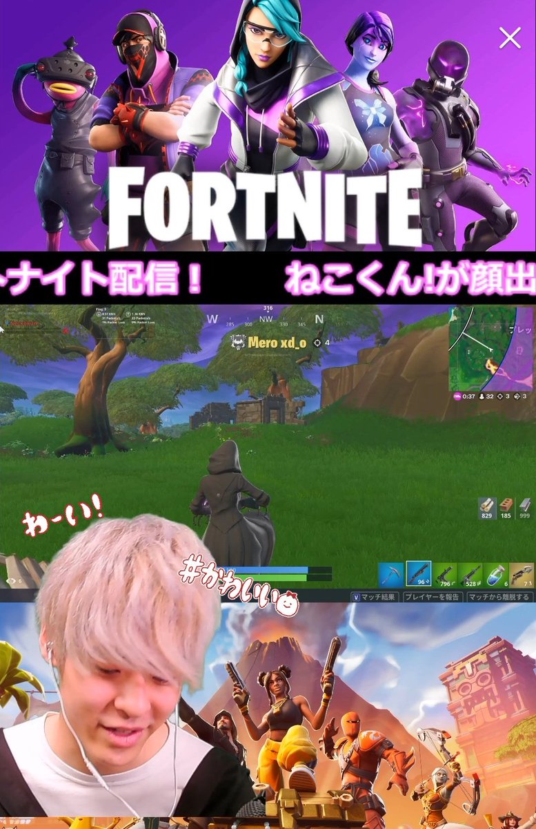 ねこくんの顔画像やプロフィールは フォートナイトの実力がやばいｗ ちゃんとテキトー生活