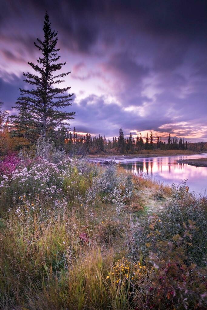 Didn’t have to travel anywhere remote for this one. Weaslehead flats in my hometown Calgary, Alberta. [OC][1365x2048] #nature