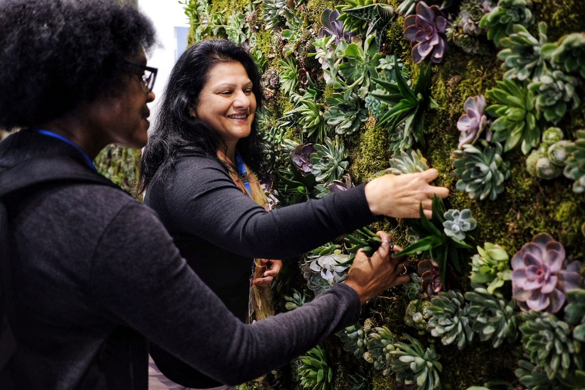 Temenos's tweet photo. The first #Sibos guests are picking up their plants! Come to stand L122 &amp; get a piece of the living wall. Temenos continues the sustainability initiative in your home. We are waiting for you! @IBM @Accenture @fintechkits @coolsuchij @ashgovindia
#intelligent #sustainable #digital https://t.co/ZHMMSuTdTJ
