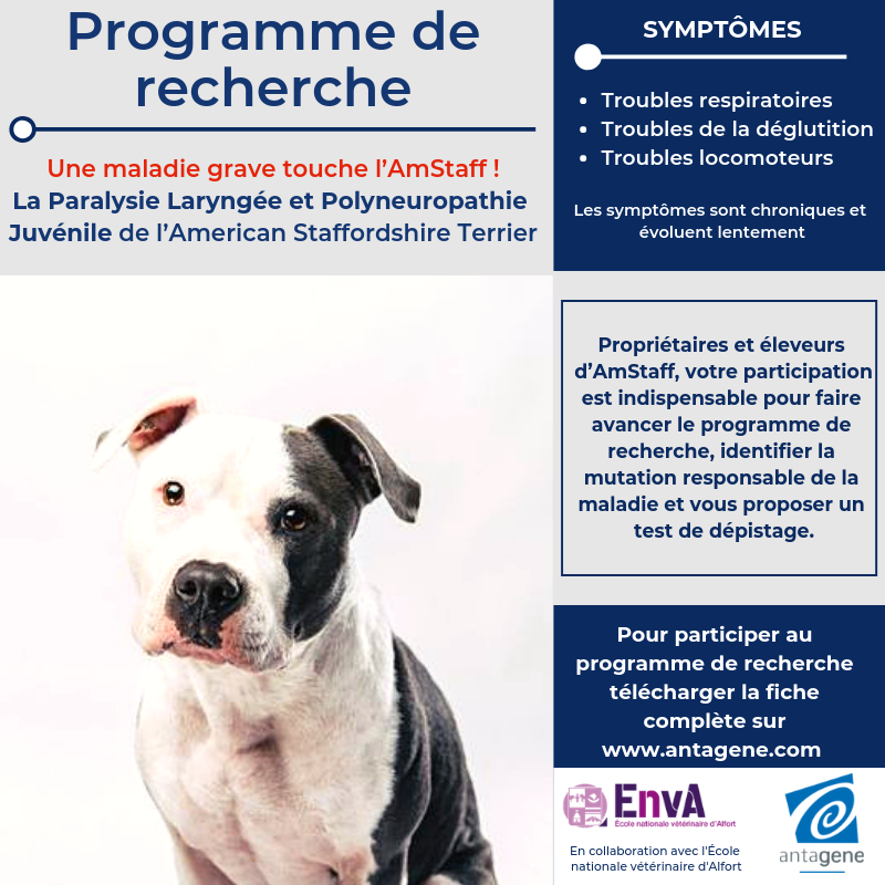 Antagene At Antagene Twitter