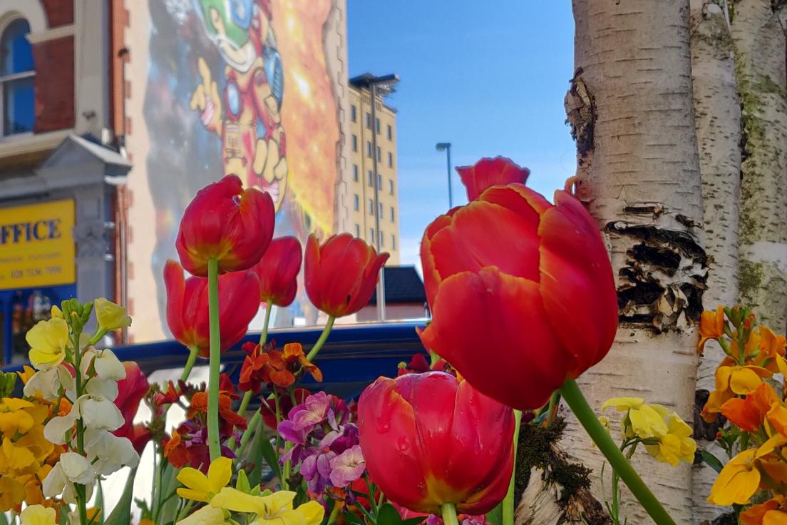 We celebrate today the European Day of Languages🎉🎉
Join our challenge today and write THANK YOU in your language 🌺🌻🌹

#europeandayoflanguages #northwestacademy #lovederry
