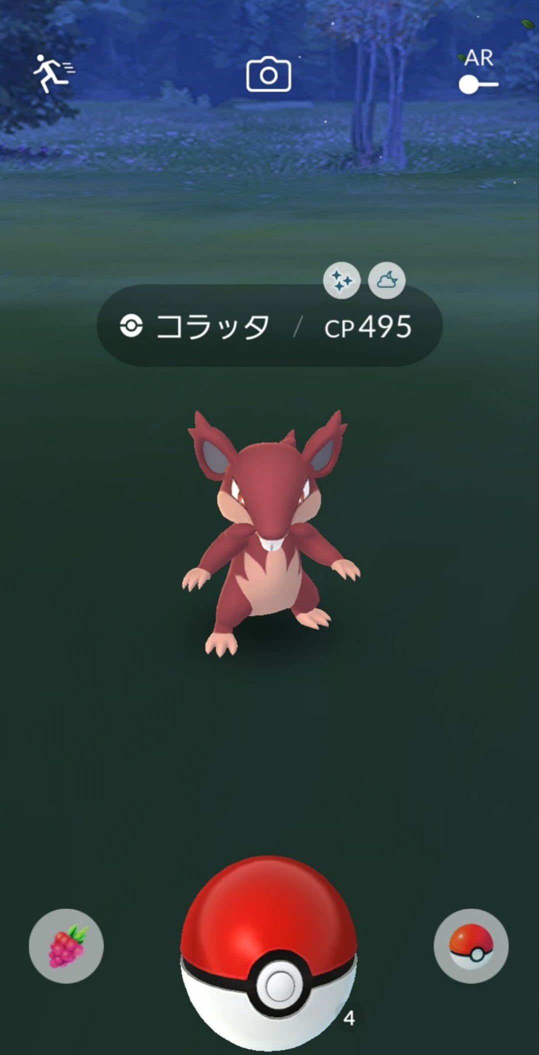 アローラコラッタ色違い Twitter Search Twitter