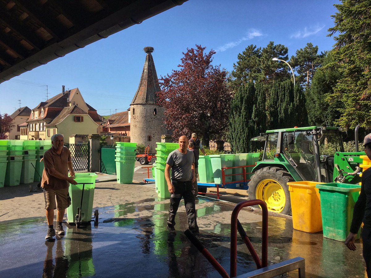 trimbach tweet media