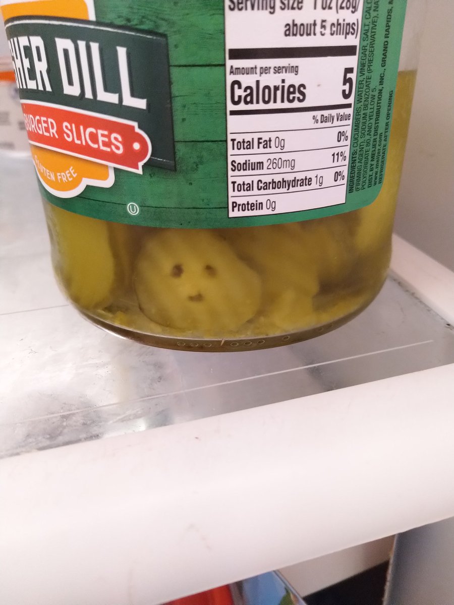 JennGrulke's tweet photo. This dill pickle slice in my fridge looked so happy to see me this morning, that or it is a pickle soul in the River Styx. #FoodWithFaces https://t.co/9lGeRsM6ZC