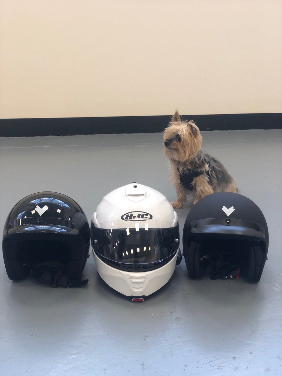 Which Motorcycle helmet do you prefer? Our office dog can't decide
#officedog #helmet #motorcycle #motorbike #electric #cutedog #eco-friendly #dogs #dog #helmets #climatechange #gogreen #contactus #meetthedog #visitus #whichone #officelife #furry #relaxeddog #globalclimateaction