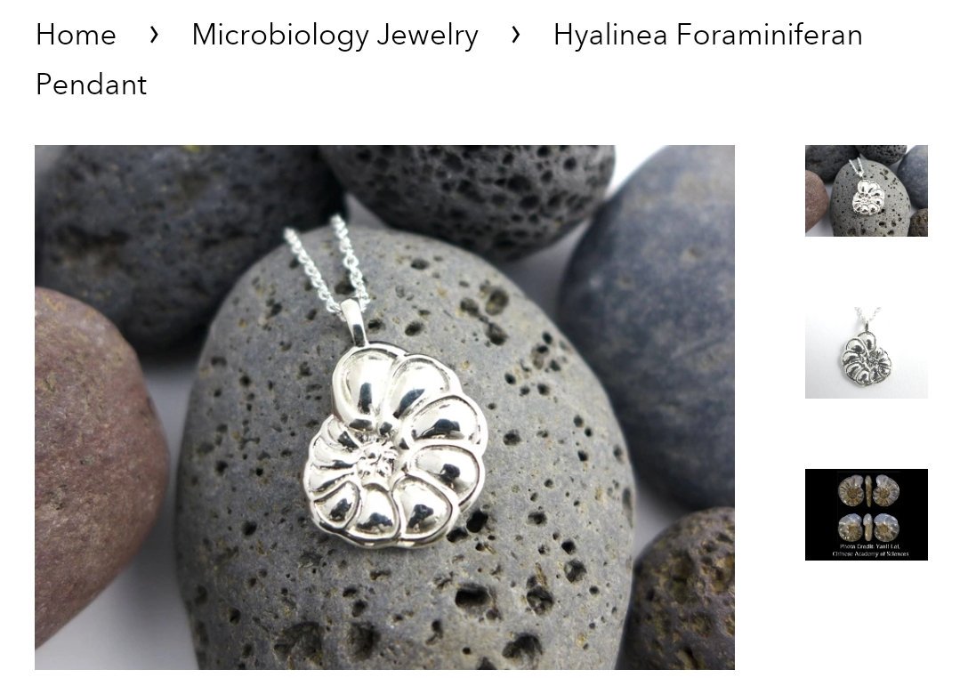 Ashley Hall (Taylor's Version) tweet media