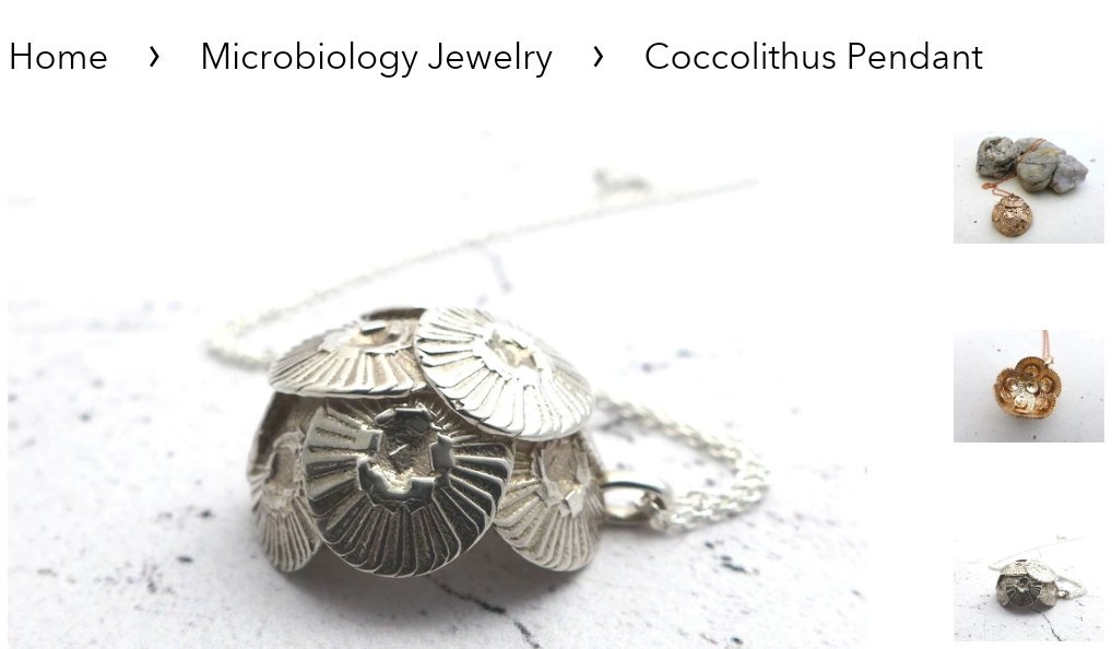 Ashley Hall (Taylor's Version) tweet media