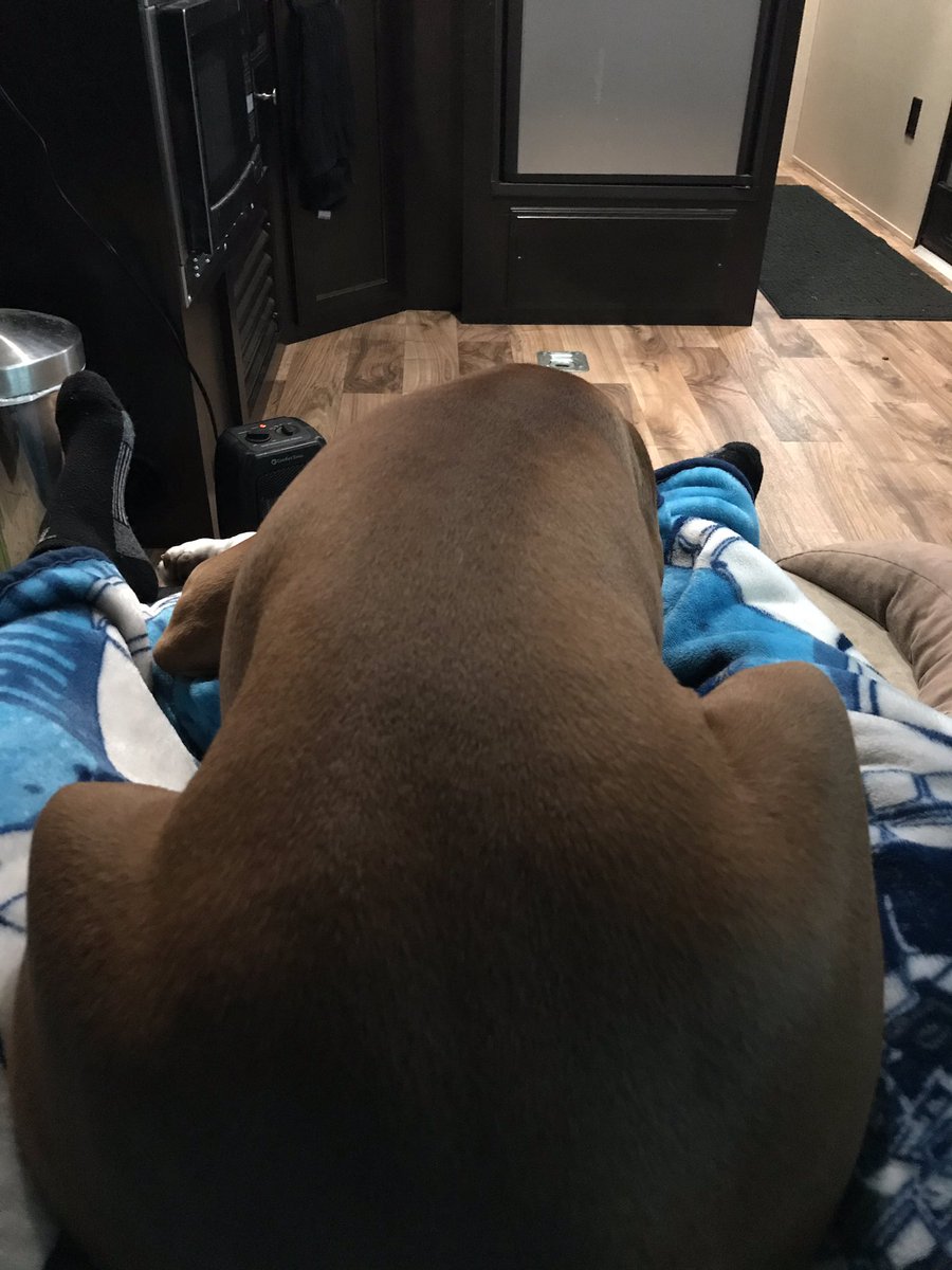 No matter the size of the chair I'm snuggling with me Mum. -Houston🐶