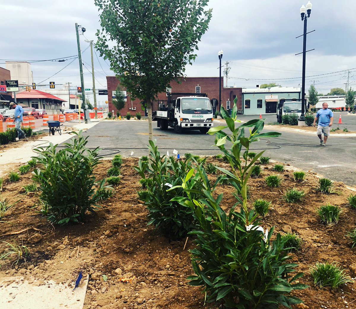 cityoflebanontn's tweet photo. Landscaping going in around our square parking lot! #DowntownRedevelopment #Historic #ThinkLebanonFirst #GrowWithUs https://t.co/4bVw0llwYG
