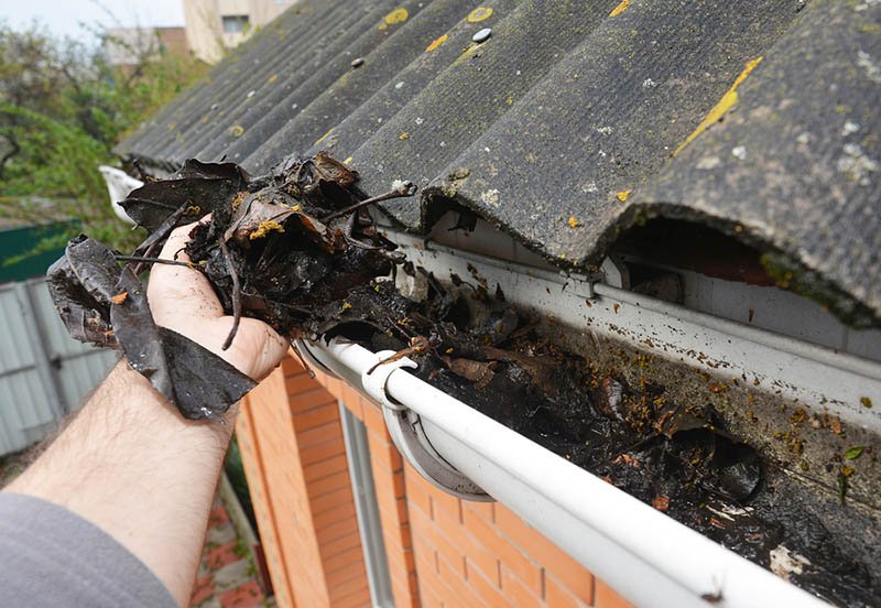 CaliforniaPros's tweet photo. Why are clean gutters so important in roofing?
Gutters are a relatively easily cleaned area of you home but can cost you thousands of dollars in roofing if they are neglected. 

https://t.co/v5L9WaY5u9

#californiaroofingpros # #homeimprovement #roofingcontractors https://t.co/bWIjmDn4Cu