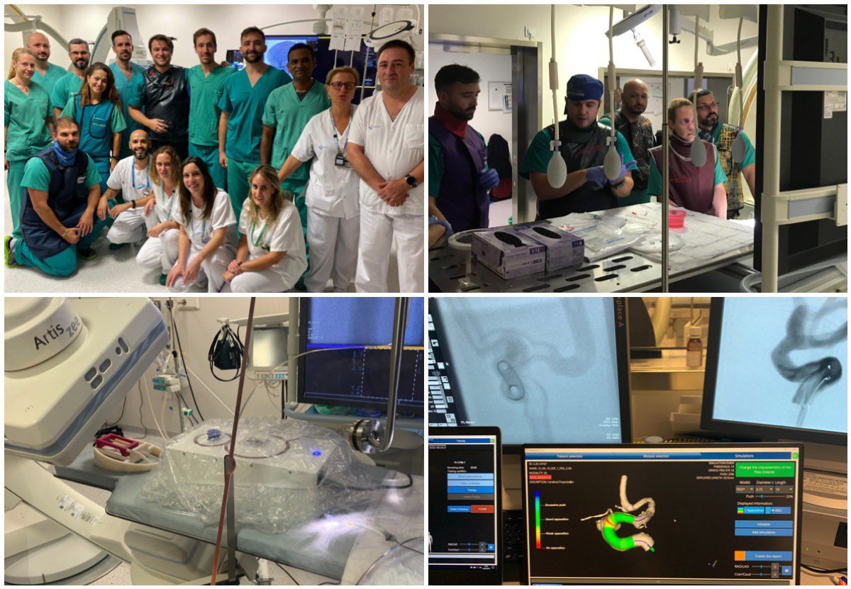 Great days in another “Pipeline Shield European Workshop” in Valladolid. Fantastic group! Life cases, VR, Case presentations/Discussions and Hands-on training. Thank you to everyone involved! #Neurointervention #Training