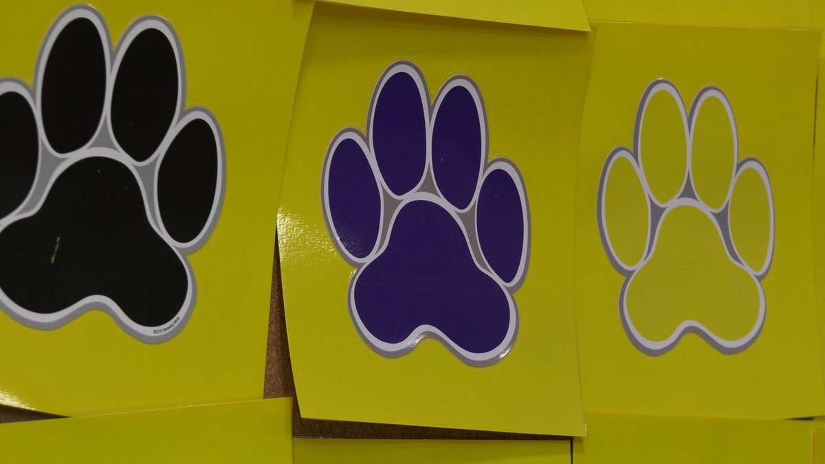 BSSDnews's tweet photo. Check out the story behind this fun assembly that @BSSDJLE students earned through their kind gestures and compliments!

Video: https://t.co/HDzOJZS7MV

Way to go, Supercats! Keep up the good work!

#WeAreBSSD https://t.co/68Z3pqTQ9l