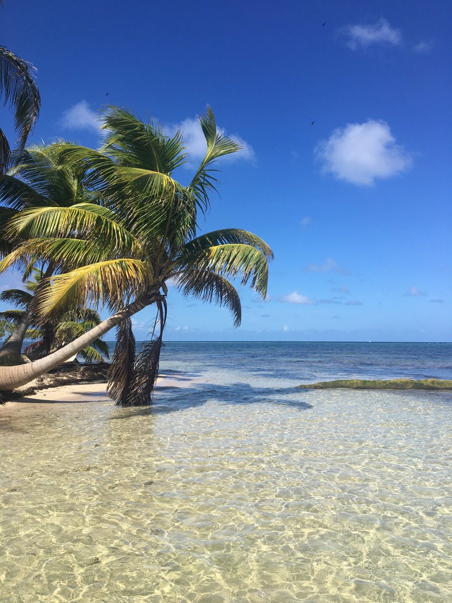 Priority deadline  for the <a href="/UofDenver/">University of Denver</a> Belize Interterm is this Tues, Oct. 1st. What's more fun than learning  sustainability leadership with <a href="/LeadershipLinda/">Linda Olson</a>  and <a href="/EffleyNBrooks/">Effley N Brooks III</a> in the rainforest and the Caribbean this December? (Nothing, that's what). du.edu/interterm/wint…