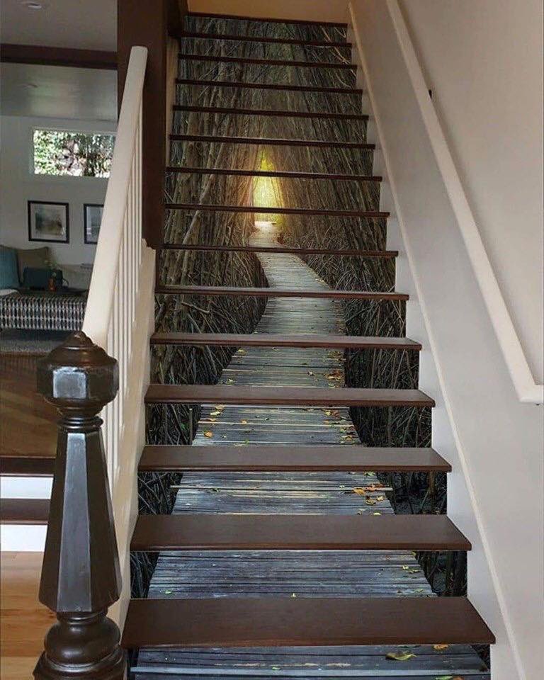 Elisadel7's tweet photo. Imagine tripping balls trying to go up these 🤪 https://t.co/7tDhEpOebU