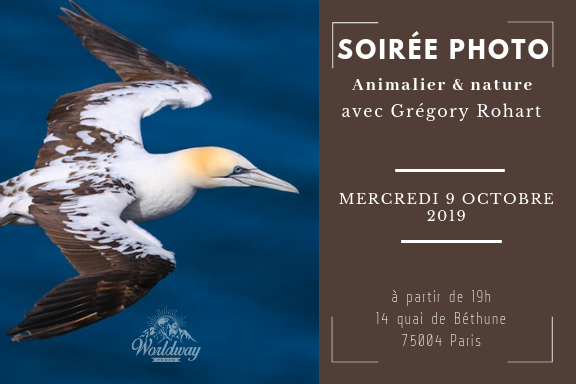Rendez-vous le 9 octobre à Paris avec <a href="/gregoryrohart/">Grégory Rohart</a> pour la soirée photo organisée par GRAINE DE PHOTOGRAPHE  bit.ly/2m4SaKm