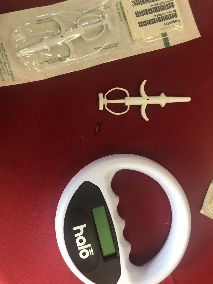 ErinMorganTV's tweet image. The Memphis Fire Department is teaming up with Memphis Animal Services to help reunite lost pups with their owners! All 57 fire stations are now equipped with microchip scanners. You can bring lost pets to any of the stations to be checked for a chip &amp;amp; help get them back home!