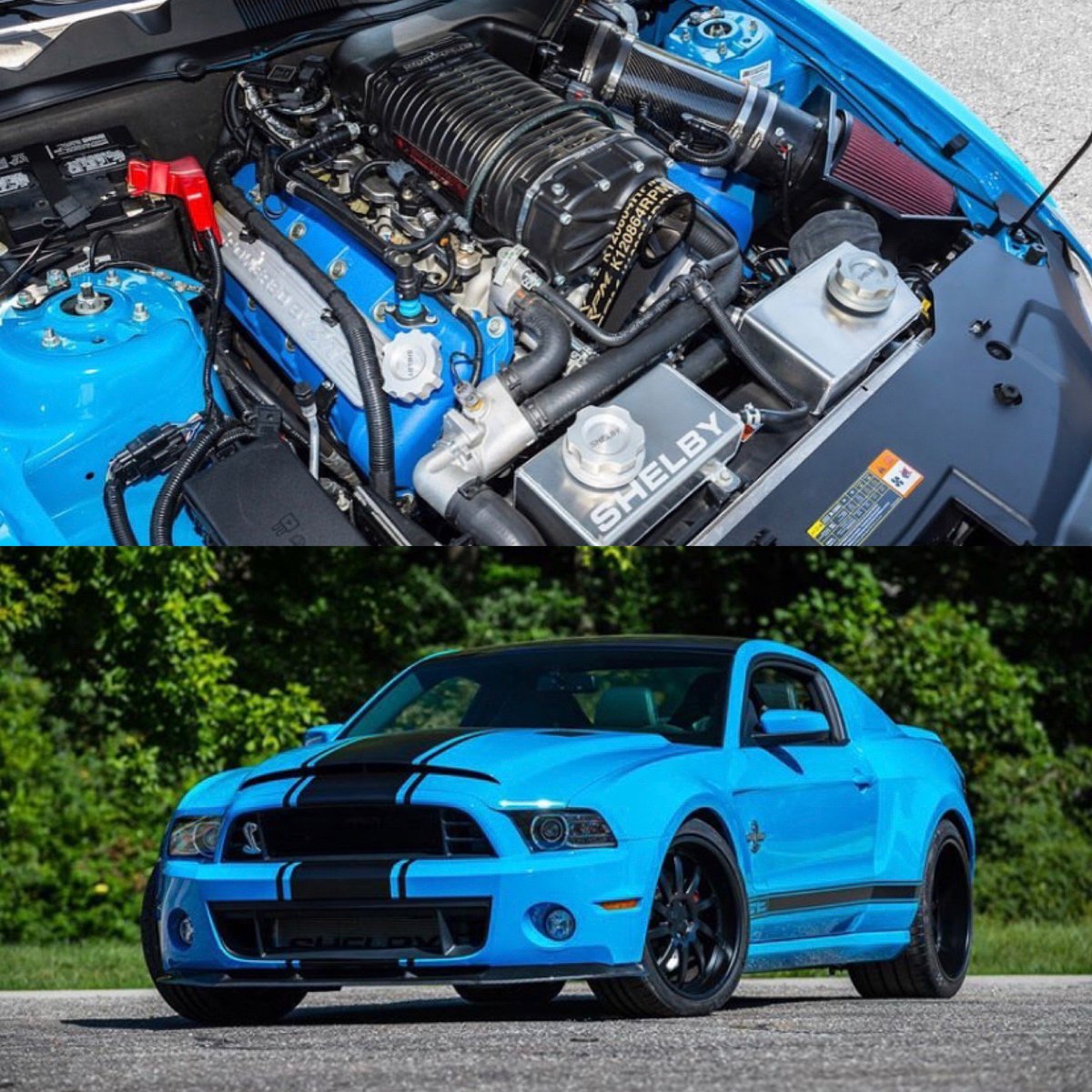 GatesNAmerica's tweet photo. Name something more American than a Shelby GT500 Super Snake with a #GatesRPM belt. I'll wait. 🇺🇸
.
📸: @FathouseFab
.
.
#GatesBelts | #Gates | #DrivenByPossibility | #Boosted | #BoostLoading | #FathouseFab | #Shelby | #GT500 | #MustangGT500 | #ShelbyGT500 | #SuperSnake https://t.co/Io0Bwi2nt5