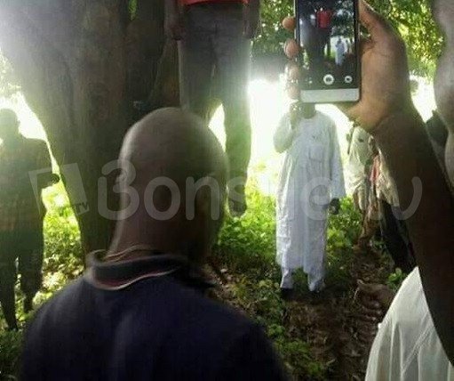 BonsueTv's tweet photo. Man Hangs Himself in Katsina https://t.co/KB1ojeLKYT https://t.co/4YcklEKTT8