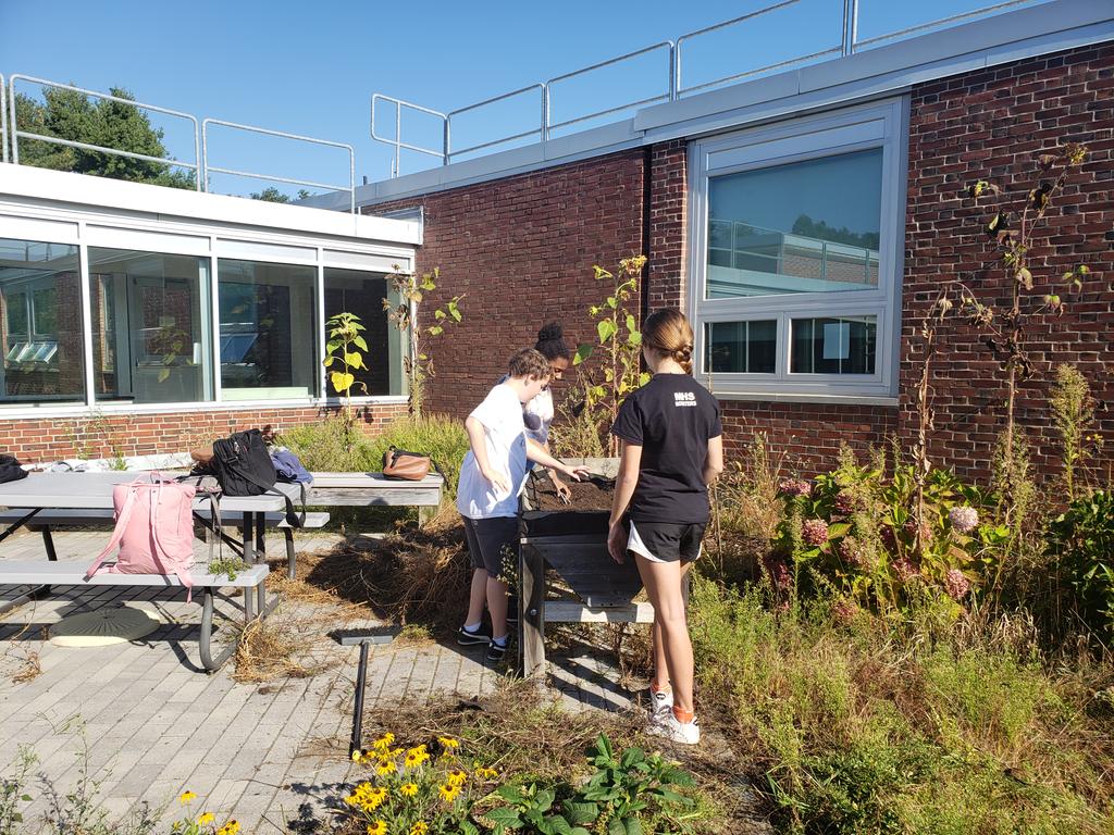 Lynsey Page tweet media