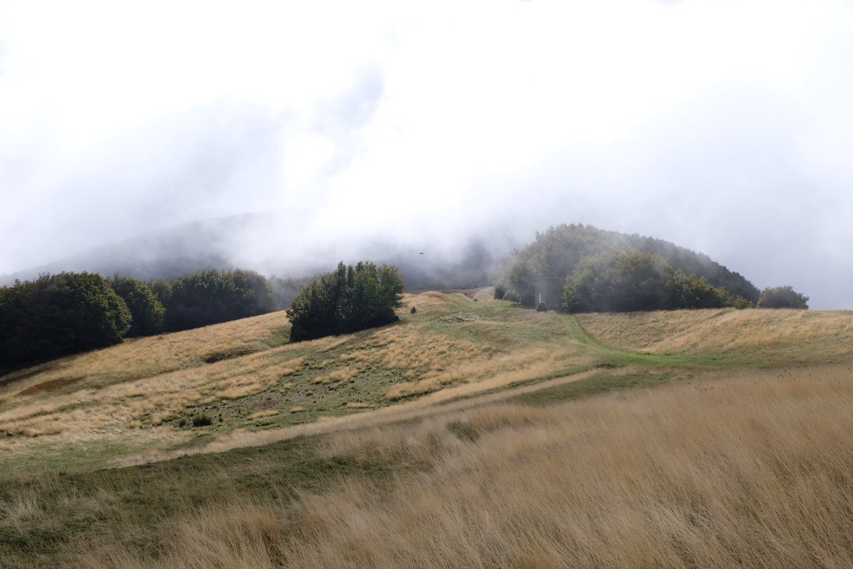YummyPlanetBlog's tweet photo. Ce matin, on a découvert une autre facette de l’Emilie-Romagne au parc national Foreste Casentinesi. 🌿🍁🍄 #inEmiliaRomagna #STSRavenna https://t.co/IWBNK0g5P4