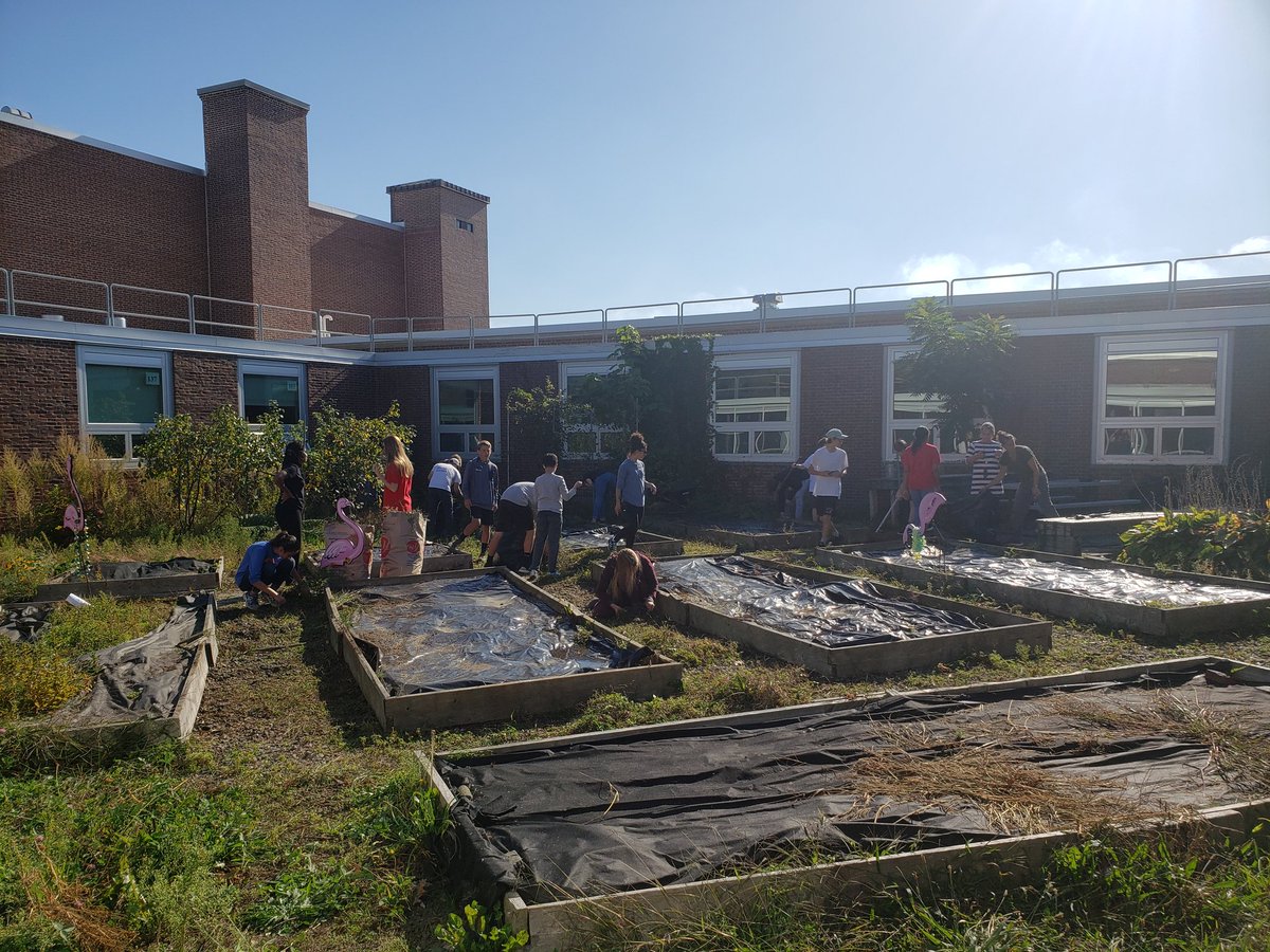 Lynsey Page tweet media