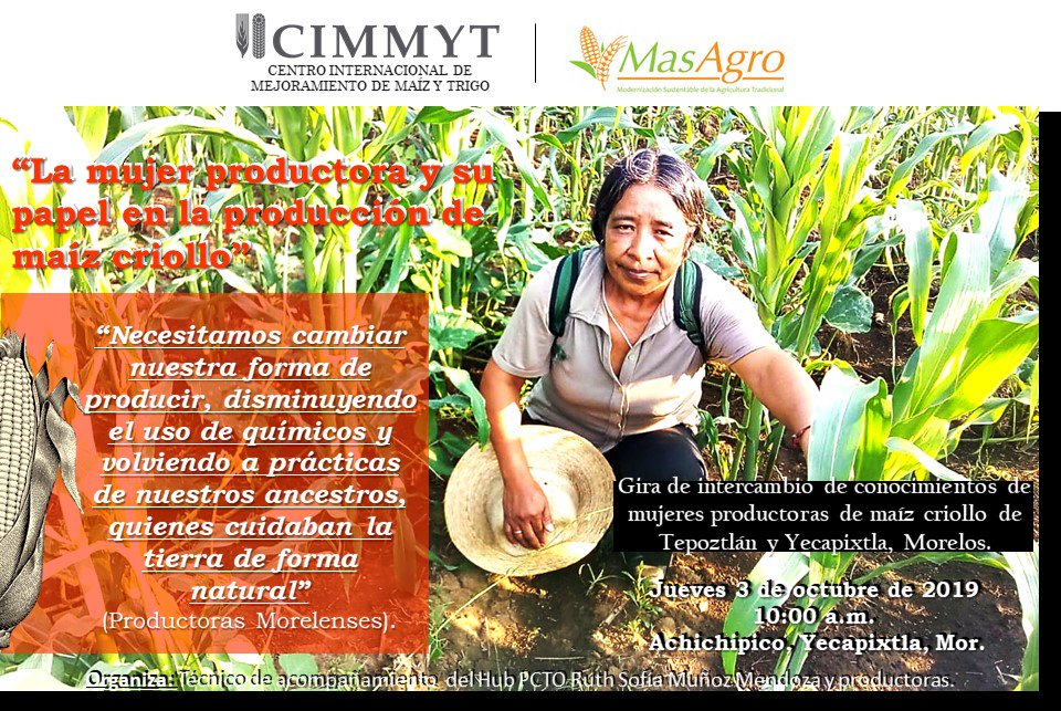 RUTHM0210's tweet photo. 🗣️📢ATENTA INVITACIÓN:

 A LA GIRA DE INTERCAMBIO DE CONOCIMIENTOS DE PRODUCTORAS DE YECAPIXTLA Y TEPOZTLÁN, MORELOS 🌽 CON EL TEMA DE FORTALECIMIENTO PARTICIPATIVO DE LA MUER PRODUCTORA.
#AliansasSustentables
#MasAgro #CIMMYTporMéxico
#CIMMYTCapacita https://t.co/MFjPw5P3hT