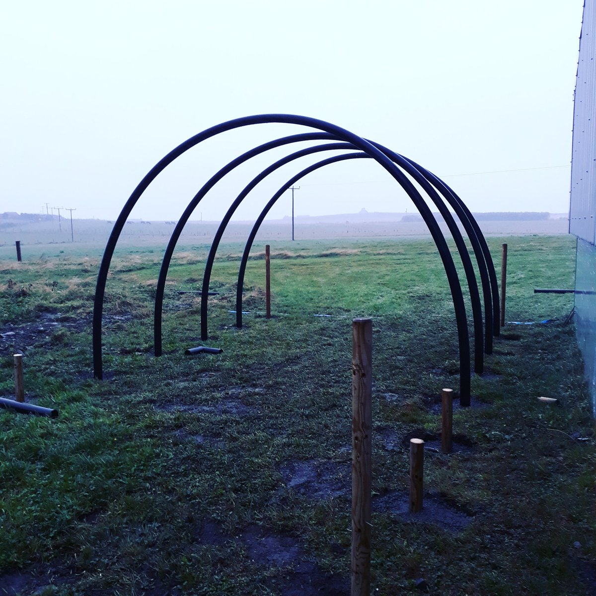 deer_distillery's tweet image. A damp day here on Orkney as our polycarbonate tunnel frame is constructed, ready to grow our botanicals on site!! Sustainability for 2020 😊
#orkney #deernessdistillery #visitorkney #visitscotland #gin #ginandtonic #luxurygin #ginoclock #scottishgin #craftgin #Sustainability