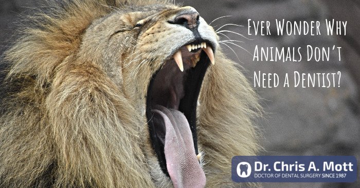 Dr. Chris Mott tweet media