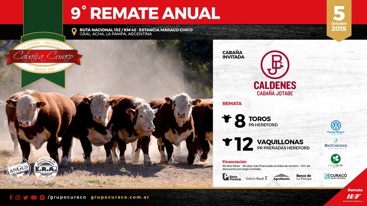 En nuestro remate tendremos como invitados a <a href="/Caldenes_Agro/">hereford.jotabe@gmail.com</a> 🙌 Se suman con 8 Toros Polled Hereford PR y 12 Vaquillonas Polled Hereford PR Preñadas 🐂🐄

🔜 Sábado 5/10 en Estancia Maraco Chico, General Acha, La Pampa 😀 
Toda la info en rematecuraco.com 👌