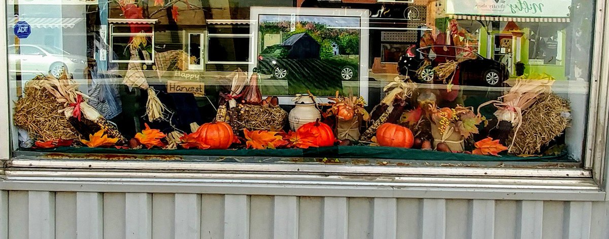 ArtistLinke's tweet image. Heading to Stayner! Come check out our window display celebrating the Fall and Harvest Time! The gallery has a wonderful collection of art pieces honouring Fall in all it's glory!#linkeslocalarts... more at shoplocal.ly/45SQ0