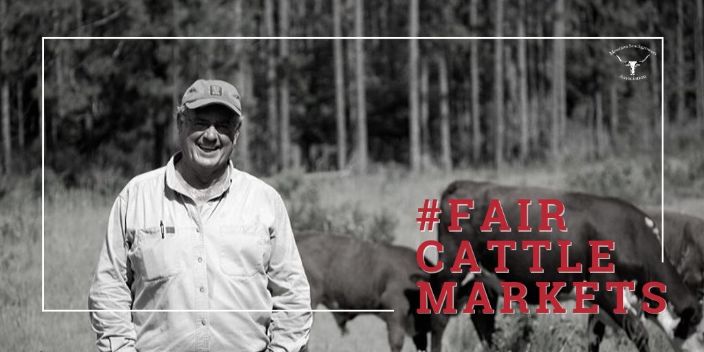 MTStockgrowers's tweet image. Dear @realDonaldTrump 

Let us work together to achieve #FairCattleMarkets! America is at its greatest when we all are able to achieve success.

Retweet/favorite this to catch @realDonaldTrump’s attention!