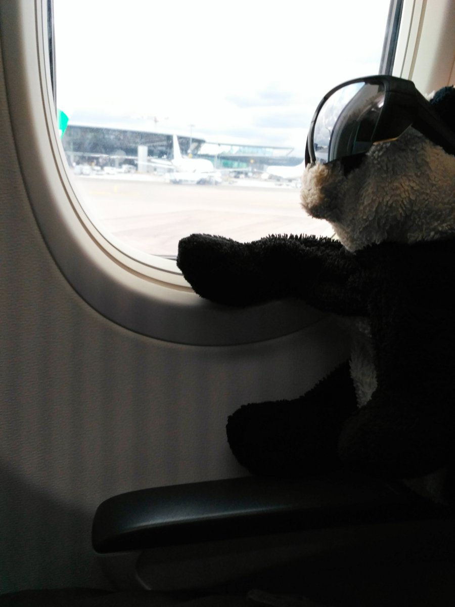 PoleDesDebiles's tweet photo. Décollage imminent #mt2k19 #cleverpanda @CleverTortue_ @CleverAge https://t.co/QYzL4hgKJW