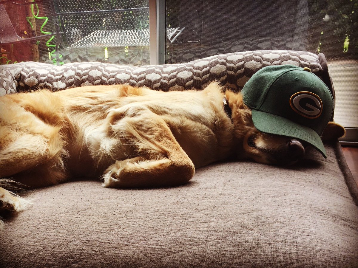 wtrboy305's tweet photo. @lachad Snoozing until game time https://t.co/7u6djzats1