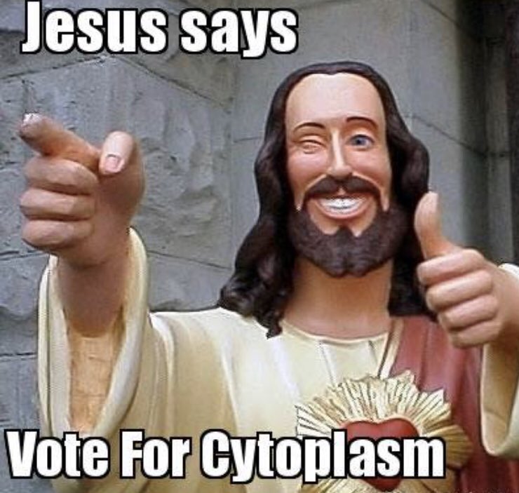 cytoplasm_squad's tweet photo. #votecytoplasm #organellewars @bdhs_mspool https://t.co/sjJPtZfuMN