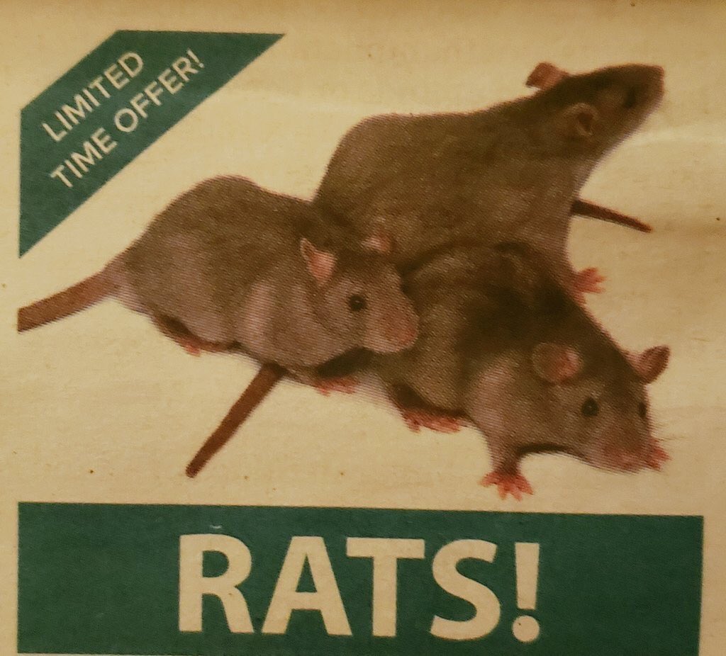 hesaleg's tweet image. 