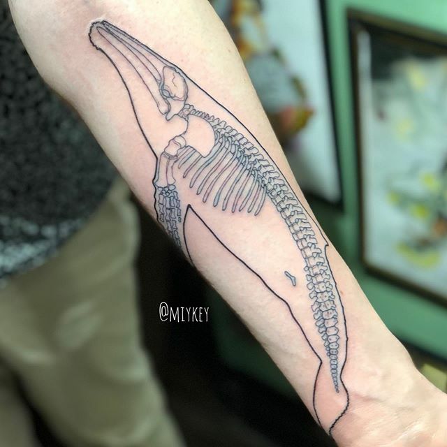Bluewhale Skeleton Artwork By nosleeptattoo  Instagram