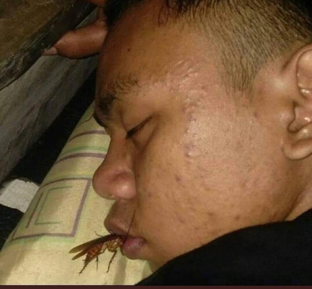 Buenas noches &lt;3