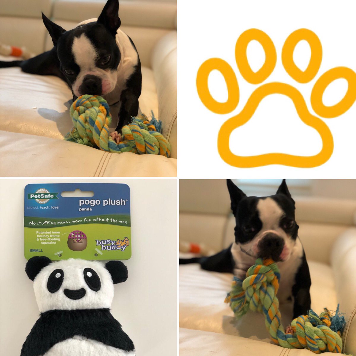 MoiChien2's tweet photo. Comparte o cual es el juguete favorito de tu perrhijo 🎾🧸

#MiJugueteFavorito #PlayaDelCarmen #Comunidad #Moichien #ComunidadPerruna @novedadesqroo @PlayaDelCarmen @Soy_Playense https://t.co/ZGj0sQrCrs