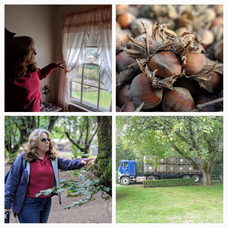 Courtney Neron tweet media