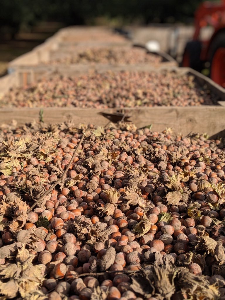 Courtney Neron tweet media