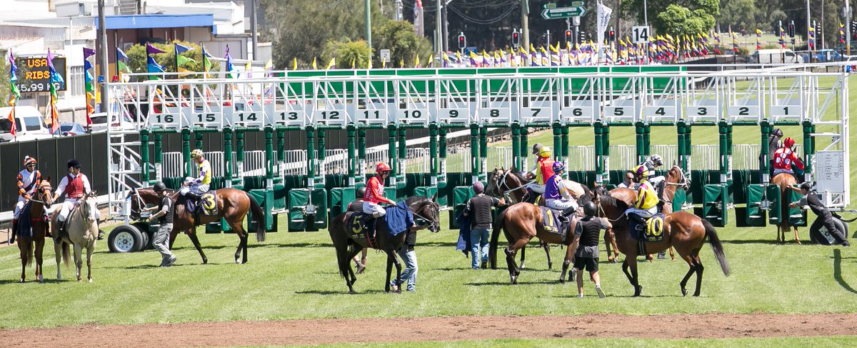gosford_races's tweet image. Gosford will host the first 2YO trials of the season to be held outside the metro area this TUESDAY 8 OCTOBER - not to mention the star studded fields including #TheTABEverest hopefuls #Redzel &amp;amp; #InHerTime!

The 1st of 17 trials will run at 8.30am

bit.ly/2LIAXR2
