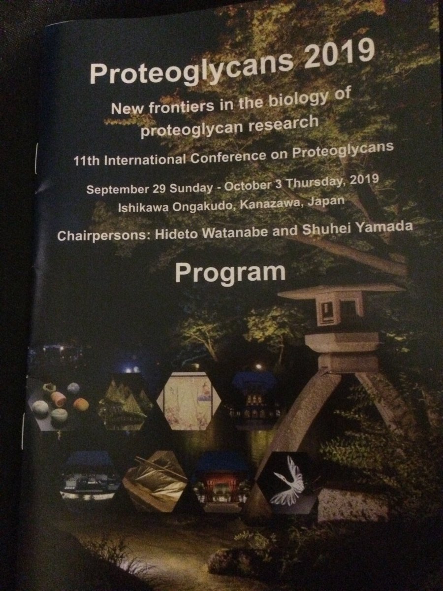 MerryProf's tweet image. Heading home after a wonderful week catching up on everything new in #proteoglycans. Excited by what I’ve heard and what we’ve got planned. See you next year! @gordon_2020 @StemCellGlyco @brookefarrugia @EskoJeff @KwokLab